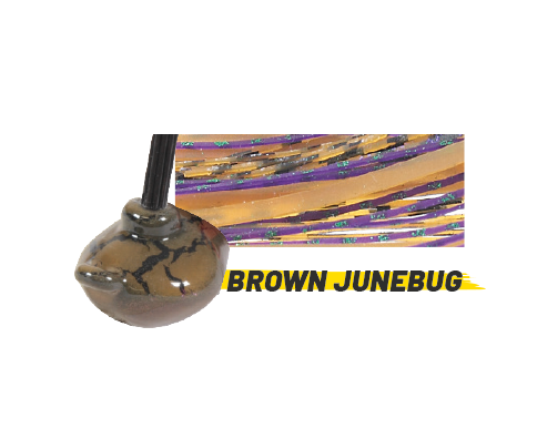 Brown Junebug